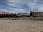 SCIH 250136
